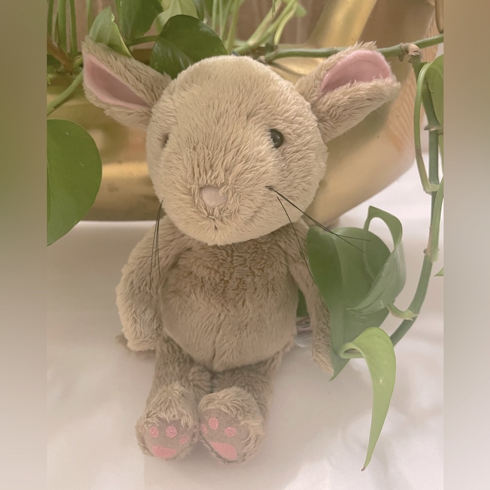 If You Give A Mouse A Cookie plush Douglas the Cuddle Toy